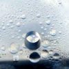 278 – Walking in the rain (wacquis)